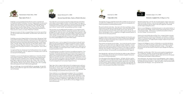 Photosynthesis BOOK - Fifty Camera Flowers by Natalie Iwanycki Ahlstrand & Bjarke Ahlstrand (SOLD OUT)