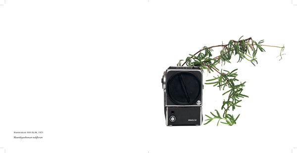 Photosynthesis BOOK - Fifty Camera Flowers by Natalie Iwanycki Ahlstrand & Bjarke Ahlstrand (SOLD OUT)