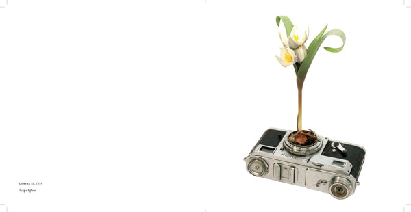 Photosynthesis BOOK - Fifty Camera Flowers by Natalie Iwanycki Ahlstrand & Bjarke Ahlstrand (SOLD OUT)