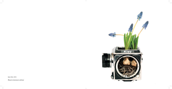 Photosynthesis BOOK - Fifty Camera Flowers by Natalie Iwanycki Ahlstrand & Bjarke Ahlstrand (SOLD OUT)