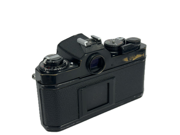 Nikon FE2 Black - New light seals September 2025