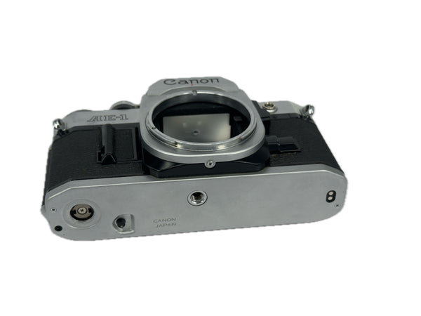 Canon AE-1 - new light seals September 2025