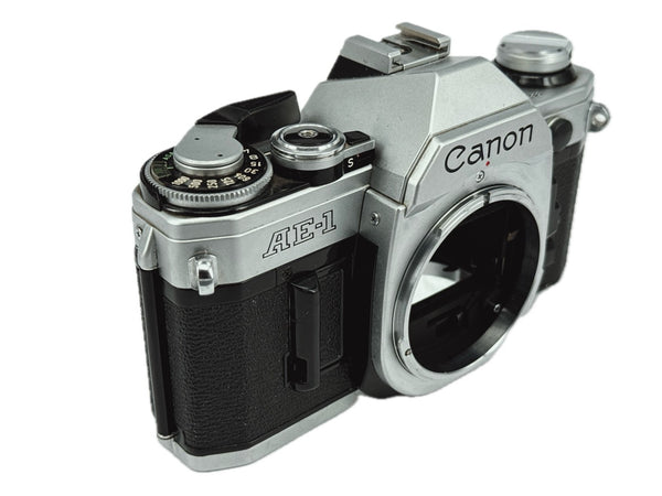 Canon AE-1 - new light seals October 2025