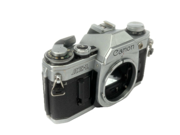 Canon AE-1 - new light seals October 2026