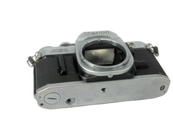 Canon AE-1 - new light seals October 2026