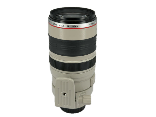 Canon EF 100-400mm f4-5.6 L IS