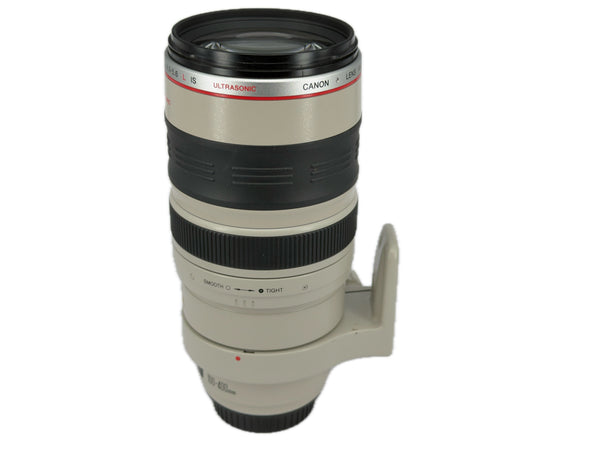 Canon EF 100-400mm f4-5.6 L IS