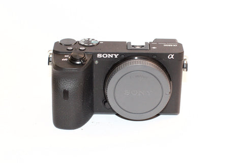 Sony a6600
