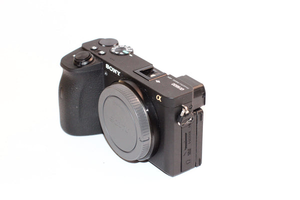 Sony a6600