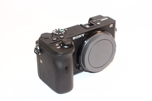 Sony a6600