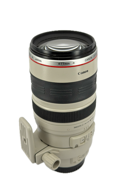 Canon EF 100-400mm f4-5.6 L IS