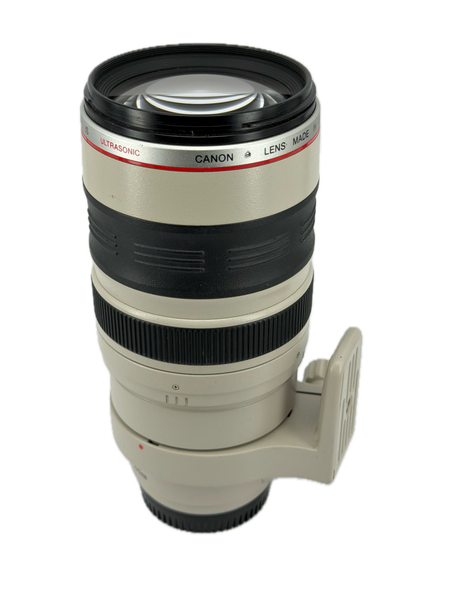 Canon EF 100-400mm f4-5.6 L IS