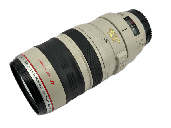 Canon EF 100-400mm f4-5.6 L IS