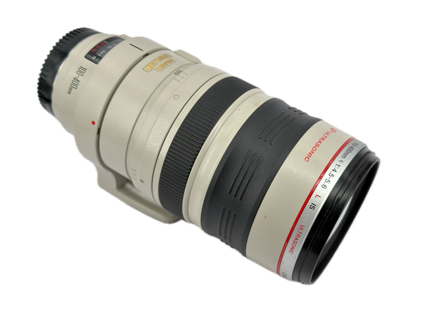 Canon EF 100-400mm f4-5.6 L IS