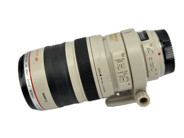 Canon EF 100-400mm f4-5.6 L IS