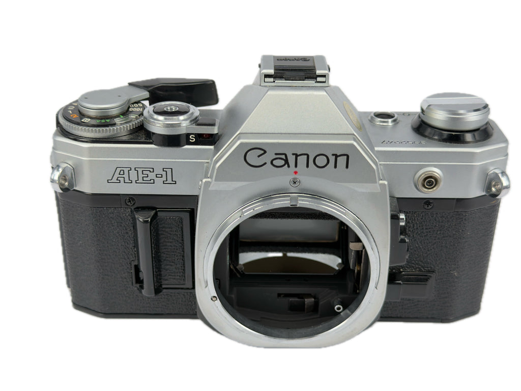 Canon AE-1 - new light seals March 2026