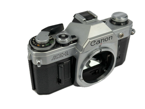 Canon AE-1 - new light seals March 2026