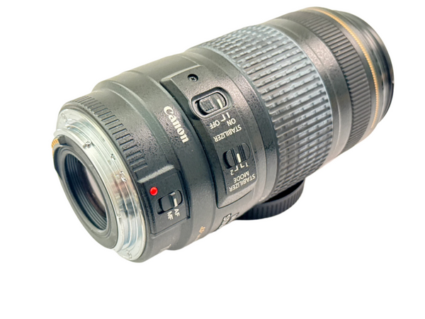 Canon EF 70-300mm f4-5.6 IS USM