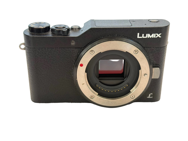 Panasonic Lumx GX800