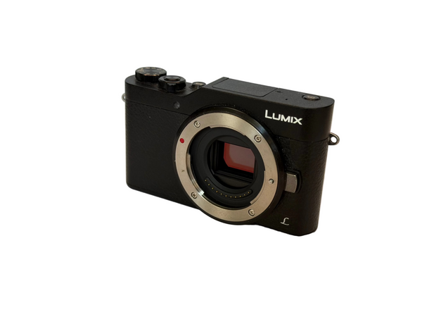 Panasonic Lumx GX800