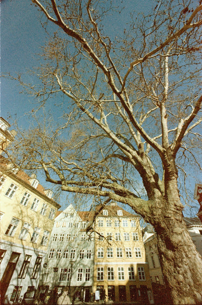 GT 24 Film Color 135x24