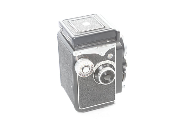 Yashica-D with case