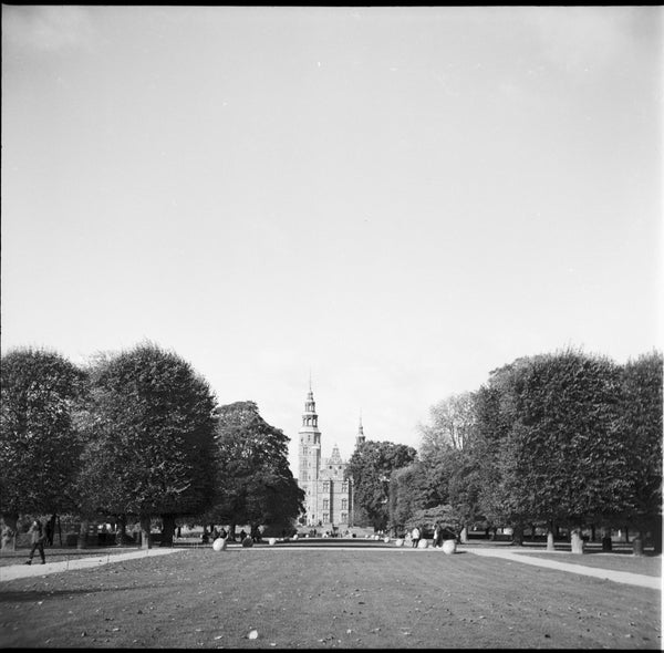 Walzflex TLR - serviced August 2026