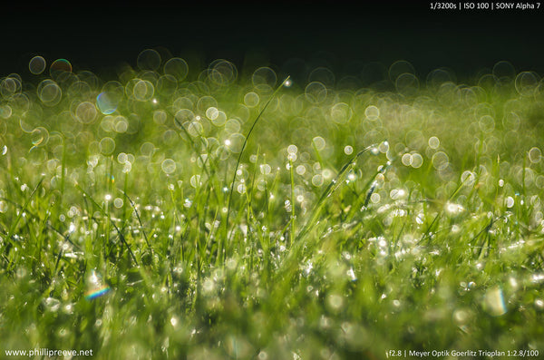 Meyer-Optik Görlitz 100mm f2.8 Trioplan - Exakta mount - cl'a January 2026