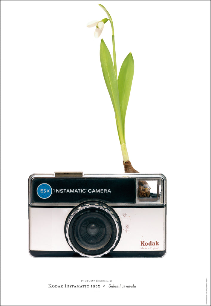 *SALE* Photosynthesis no 27 - Kodak Instamatic x Galanthus nivalis - A2 POSTER