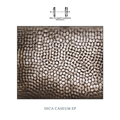 Dica Caseum 7" EP (SOLD OUT)
